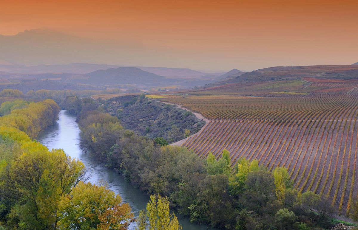 Discover the wines of Rioja!