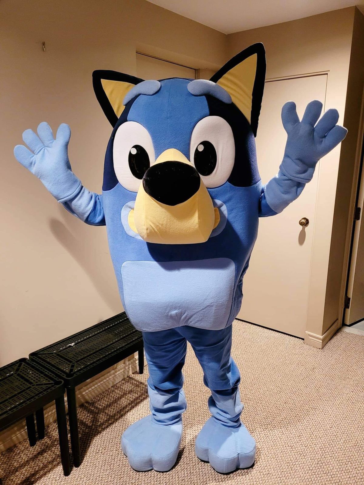 Meet and Greet with Blue Friend