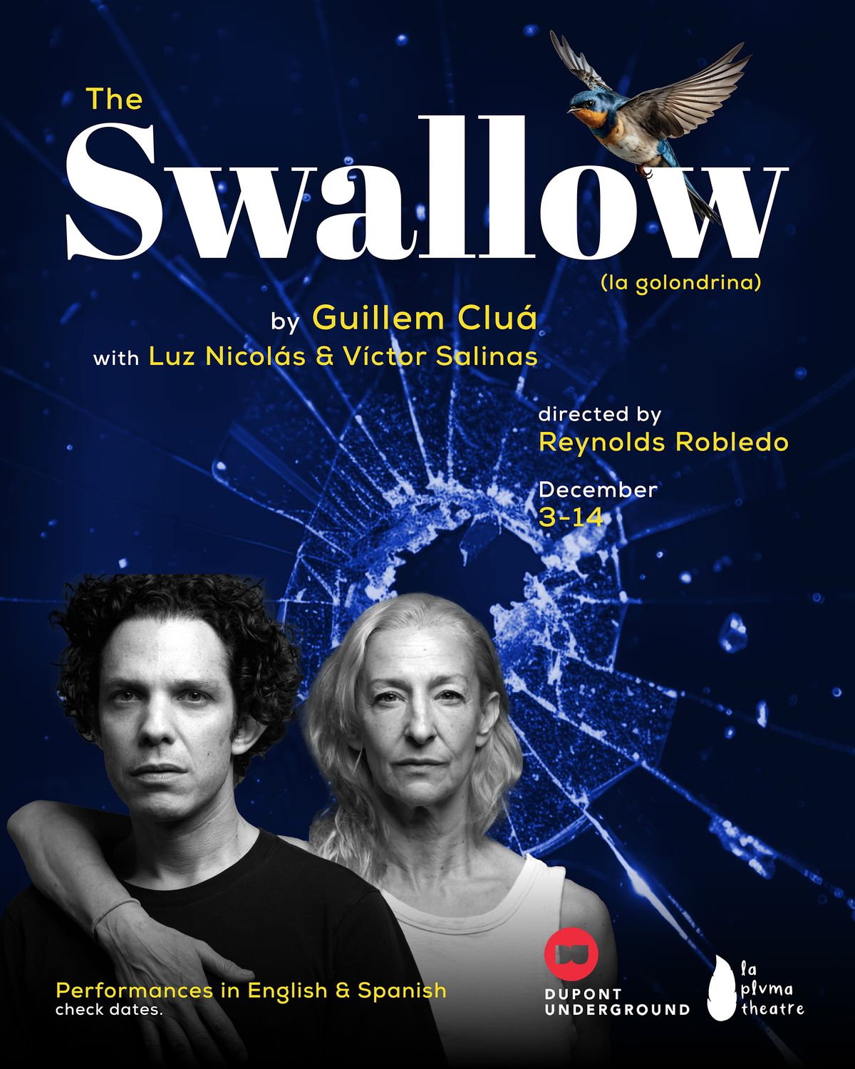 The Swallow \/ La Golondrina