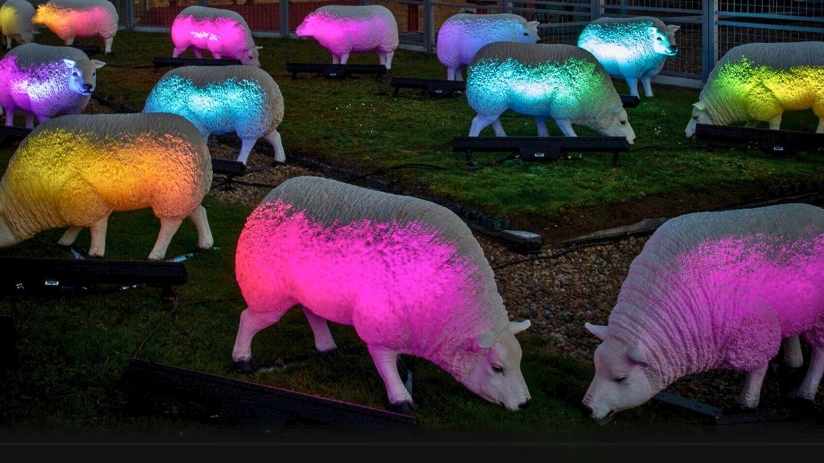 Illuminated Sheep Evenings \u2013 \u2018Dreaming of Electric Sheep\u2019 \u2013 Urban Adventure Finale