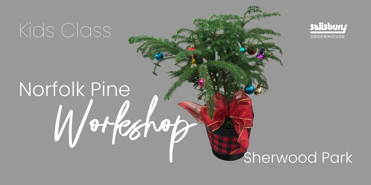 Norfolk Pine Decorating | Kids Workshop| Salisbury Greenhouse Bay 2