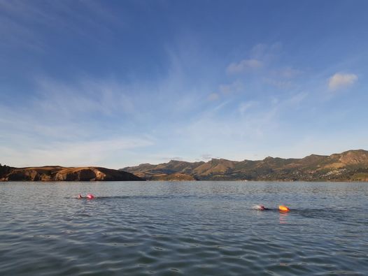 Quail Island 4km Swim