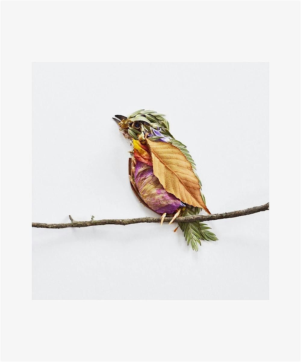 Adult Art in Nature Crafting Class