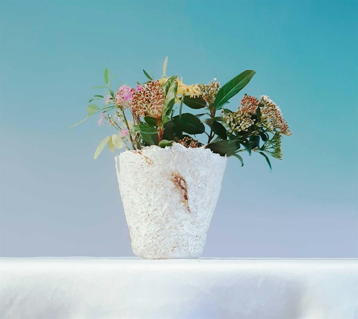 Myco Materials: Make Your Own Mycelium Flower Pot \u2013 A Hands-On Workshop