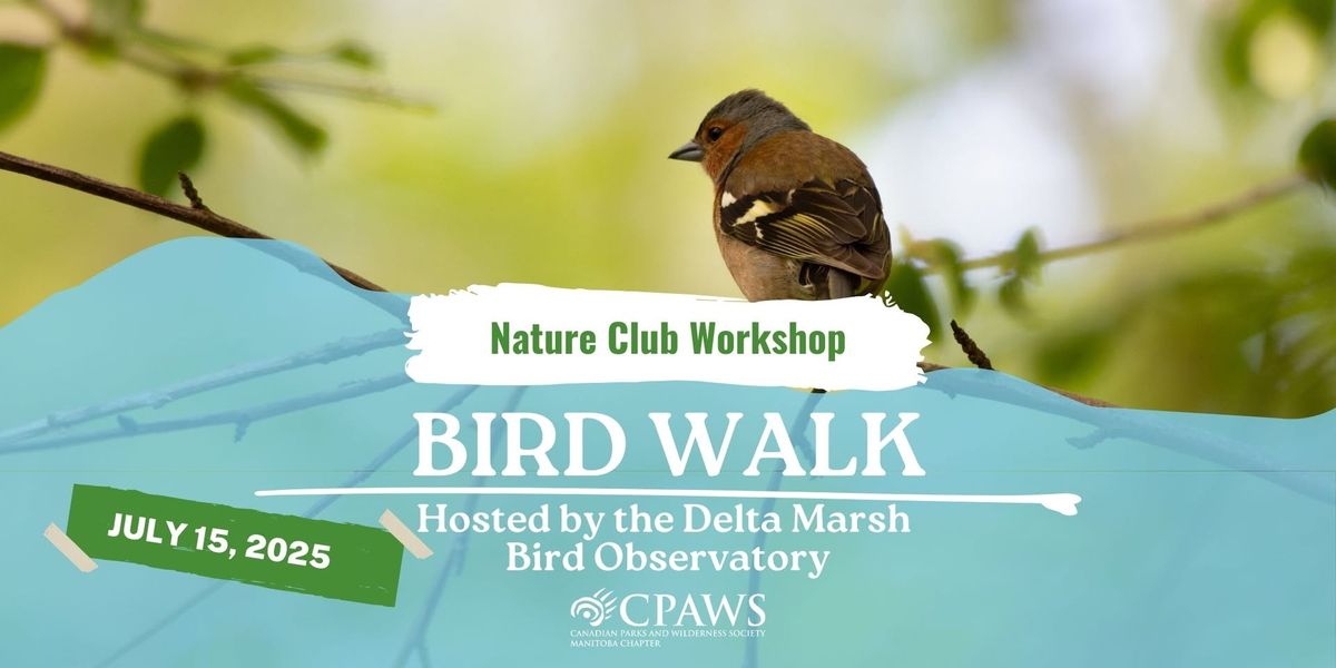 Workshop: Bird Walks