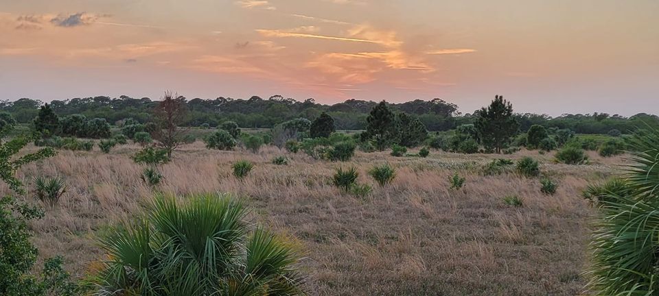 Sunset in the Hollows