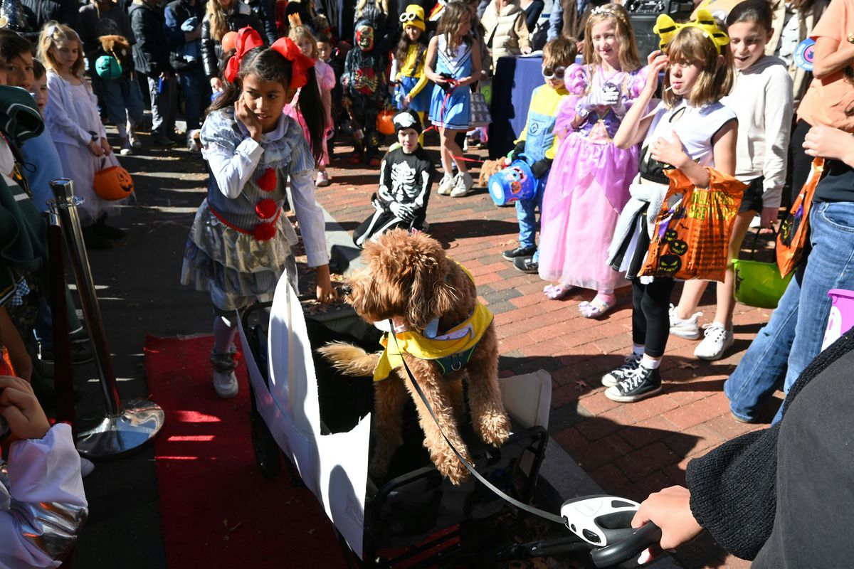 Howl-o-ween Dog Parade