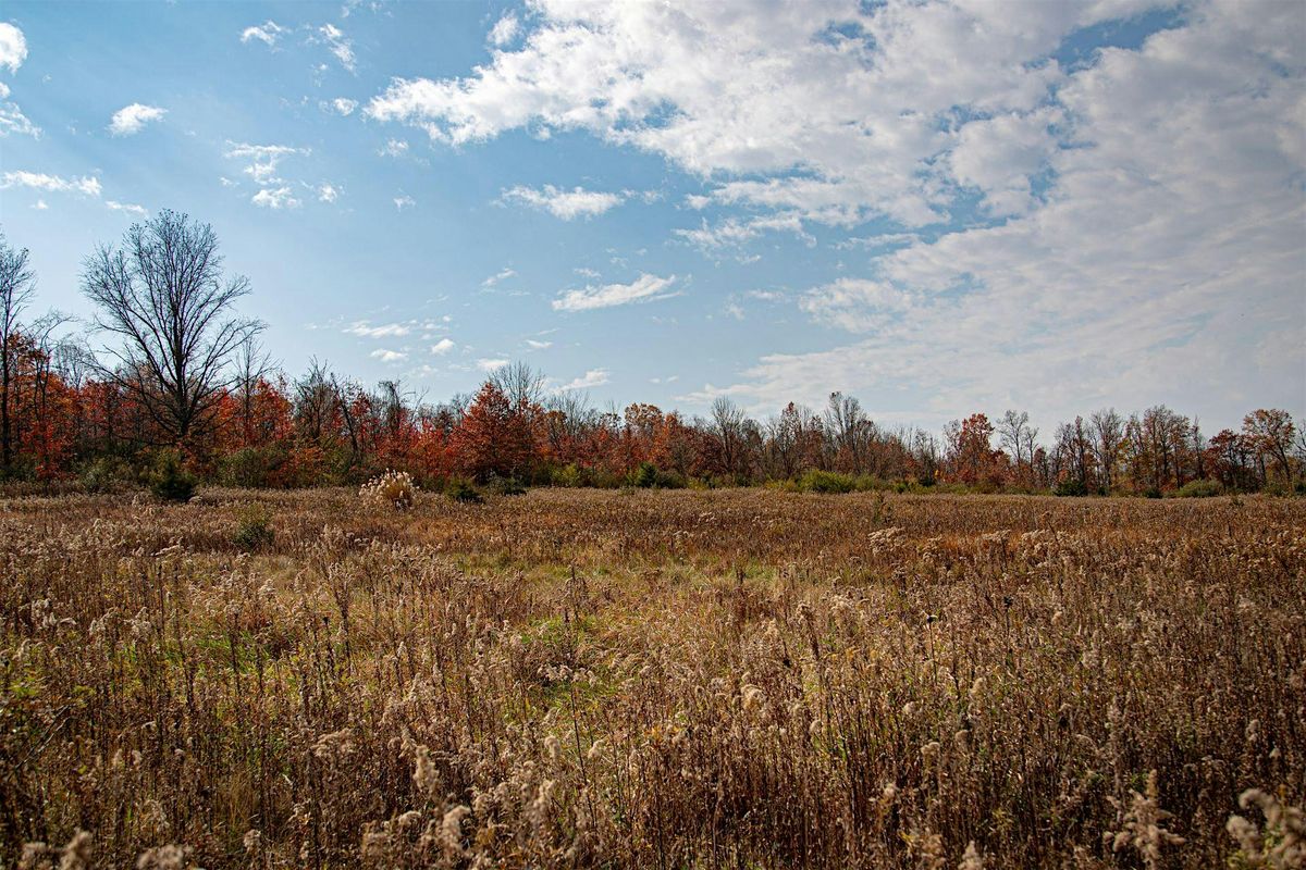 Exploration Hike: Donegal Highlands Nature Preserve