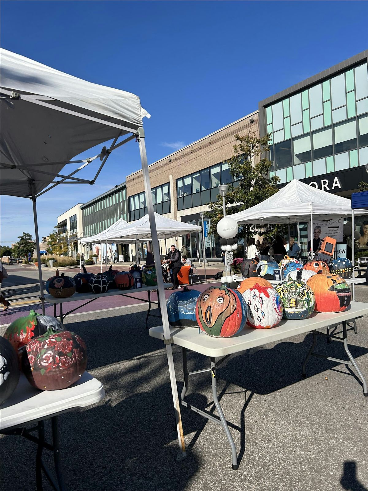 CF Fall Festival