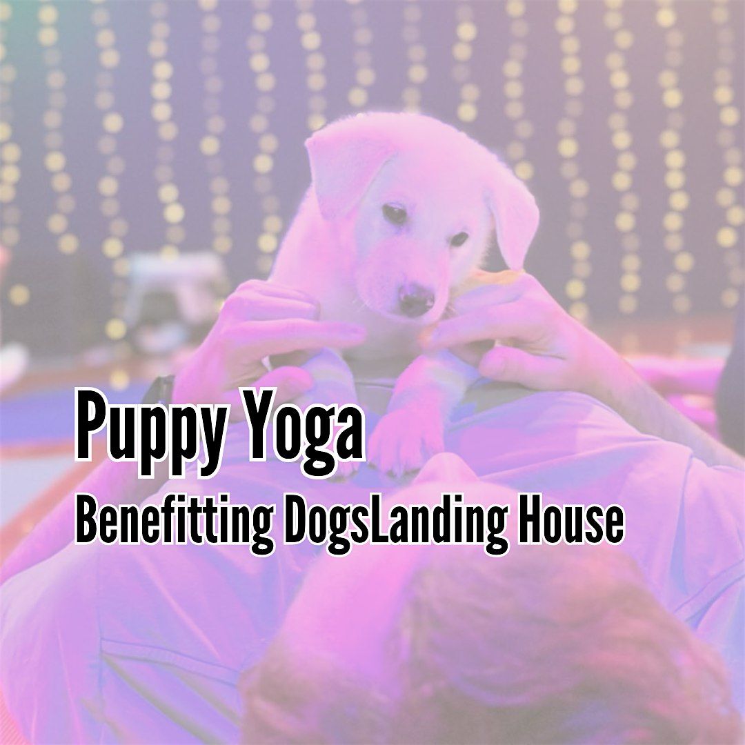 Puppy Yoga Benefiting DogsLandingHouse Rescue