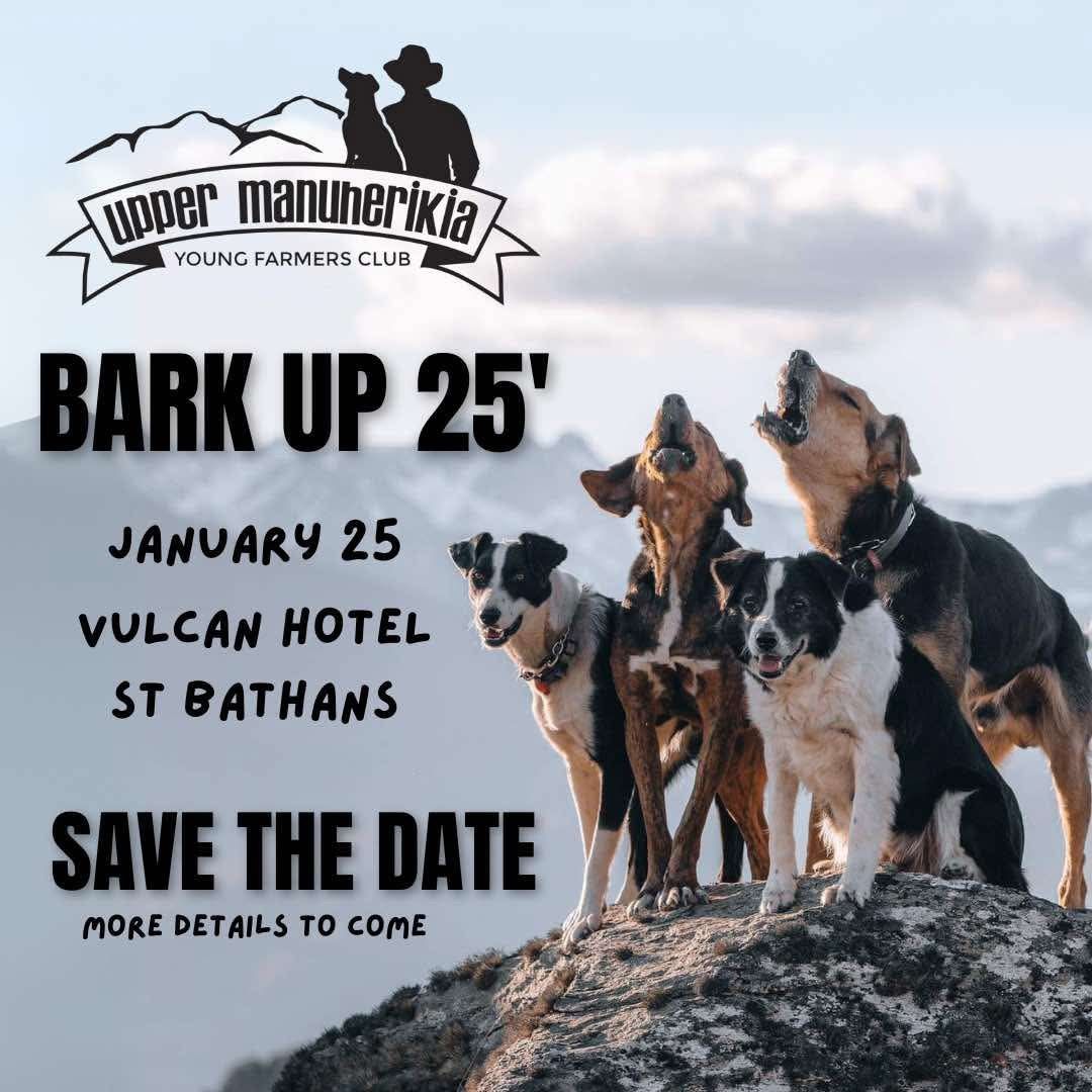 2025 Bark Up