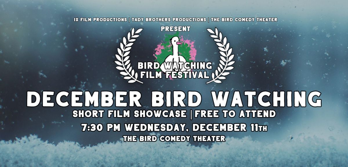 December Bird Watching | Short Film Showcase