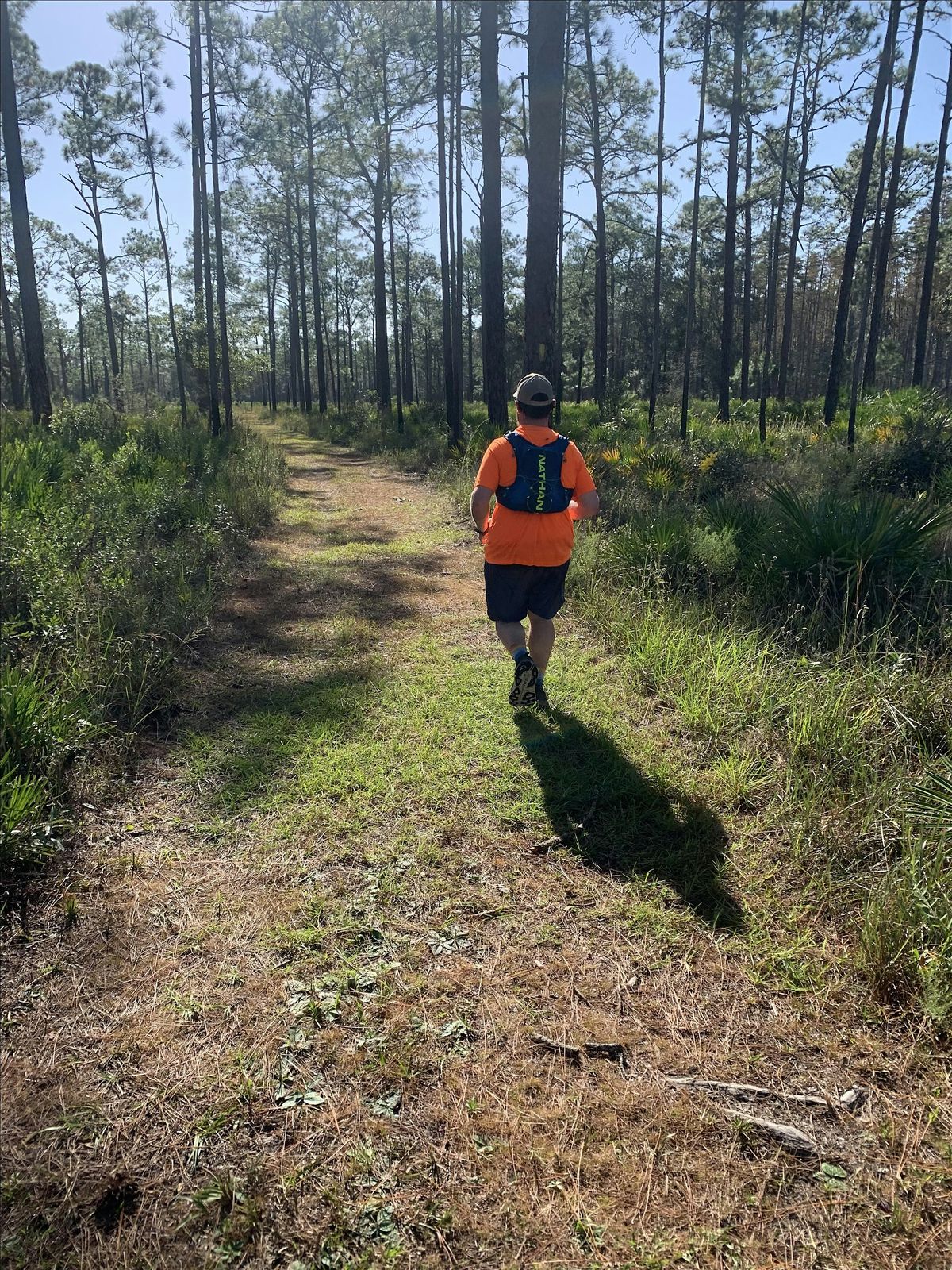 The Basics of Trail Running in Florida