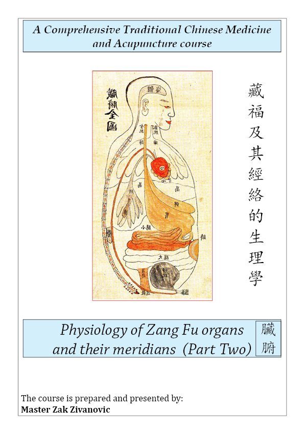 Traditional Chinese medicine - Physiology of Zang Fu organs 2