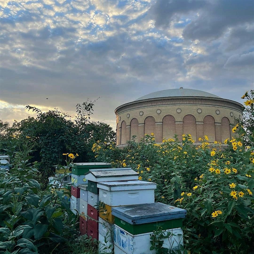 Composting 101