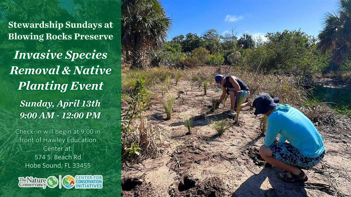 Stewardship Sunday: Invasive Species Removal & Native Planting Event