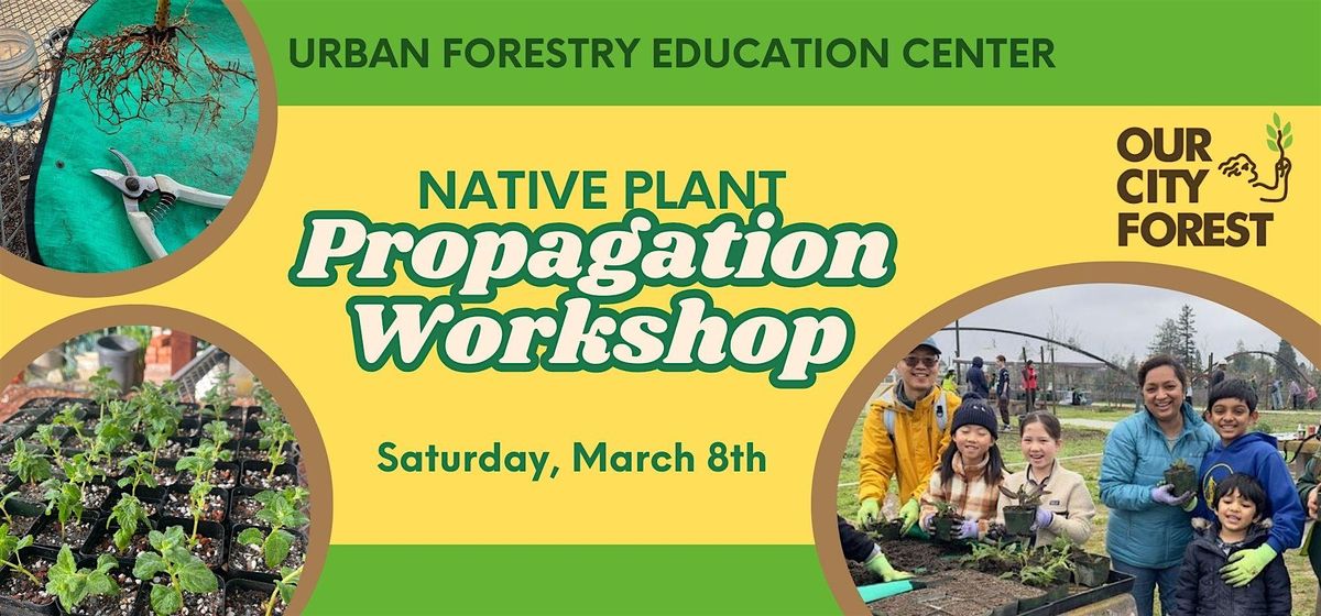 Propagation Workshop