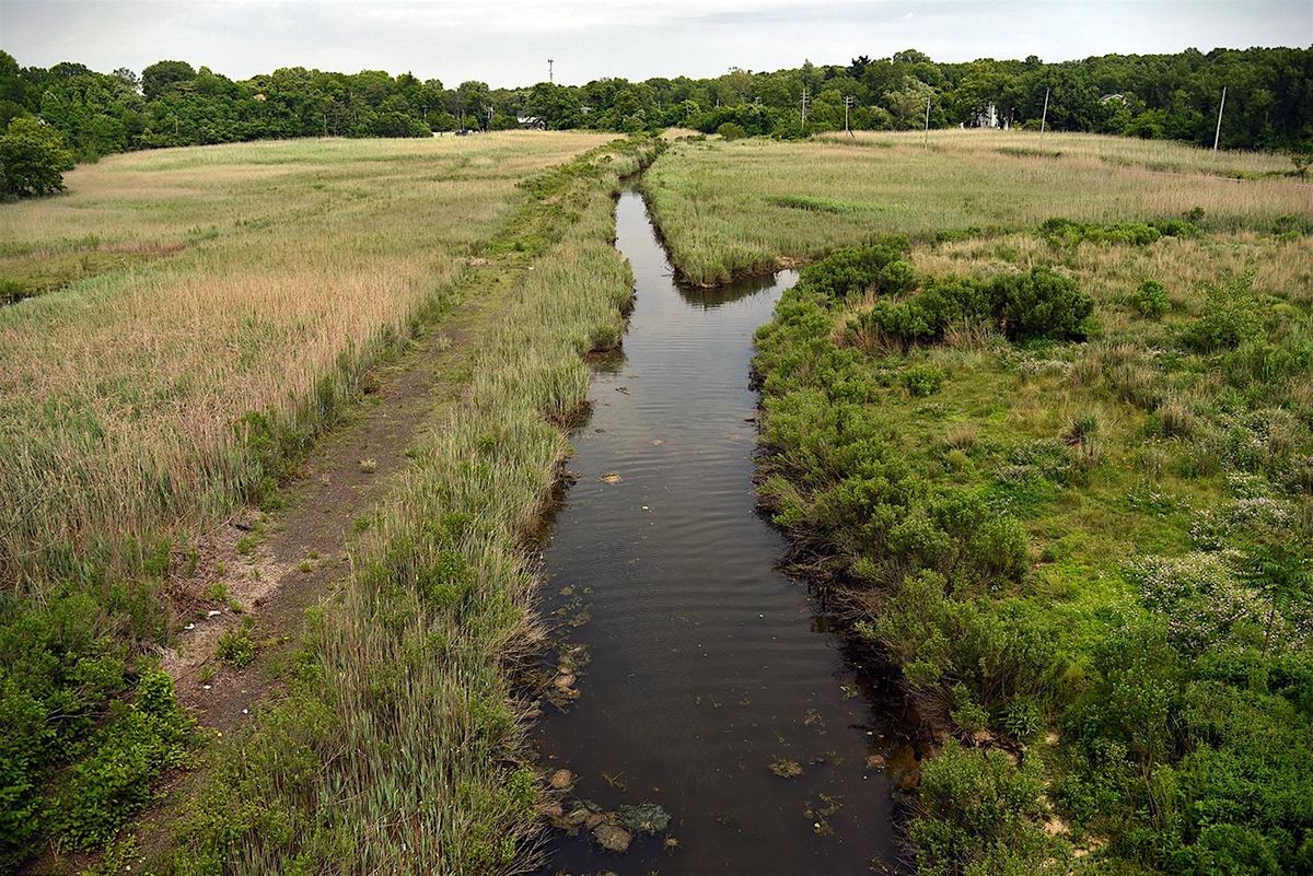 Mill Creek and Richmond Valley Walk