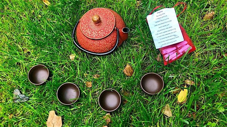 Forest Bathing Retreat: Healing After the Storm