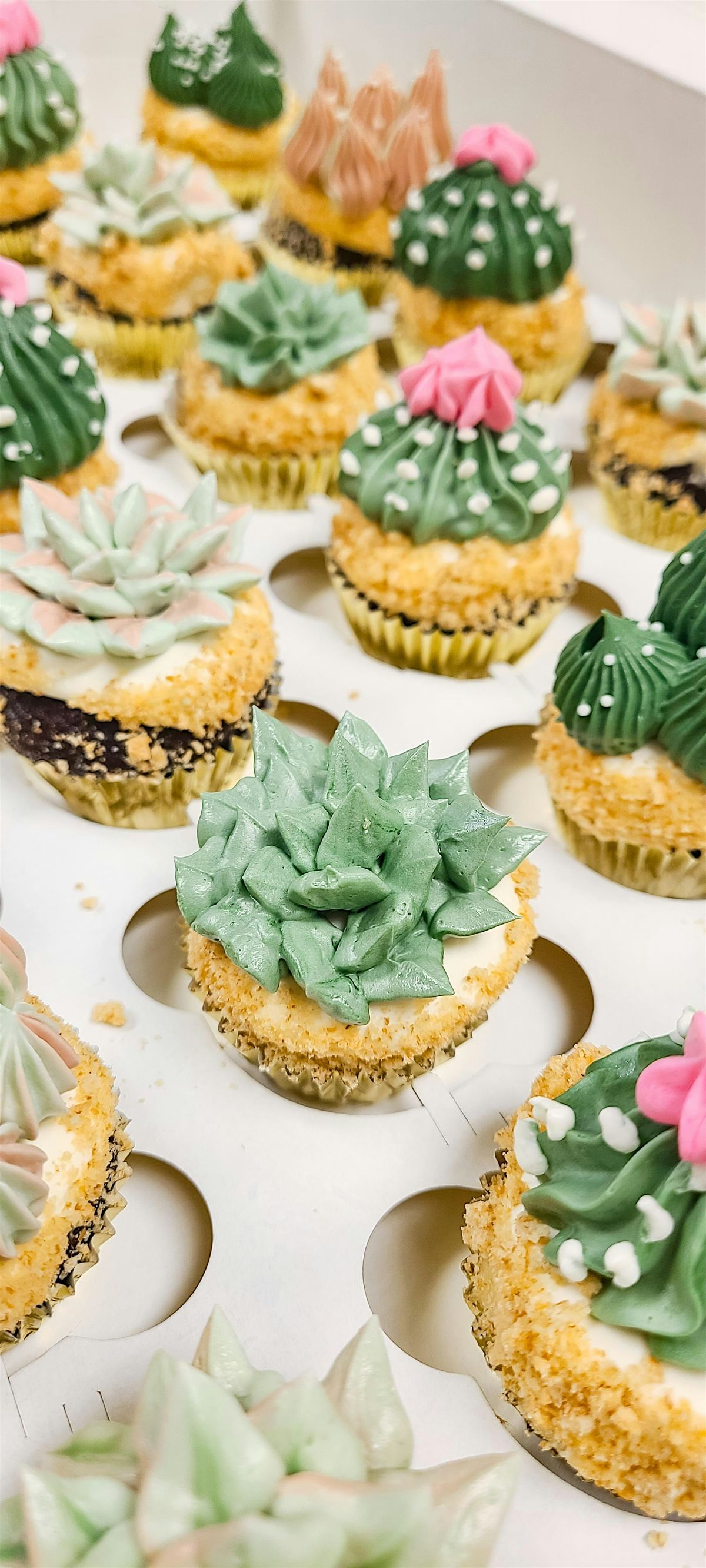 Buttercream Succulent Cupcakes Class