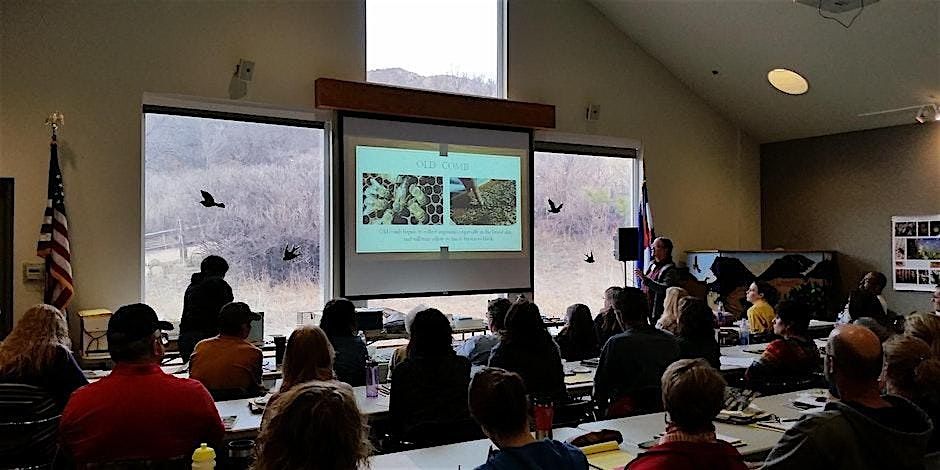 Pikes Peak Beekeeping Class