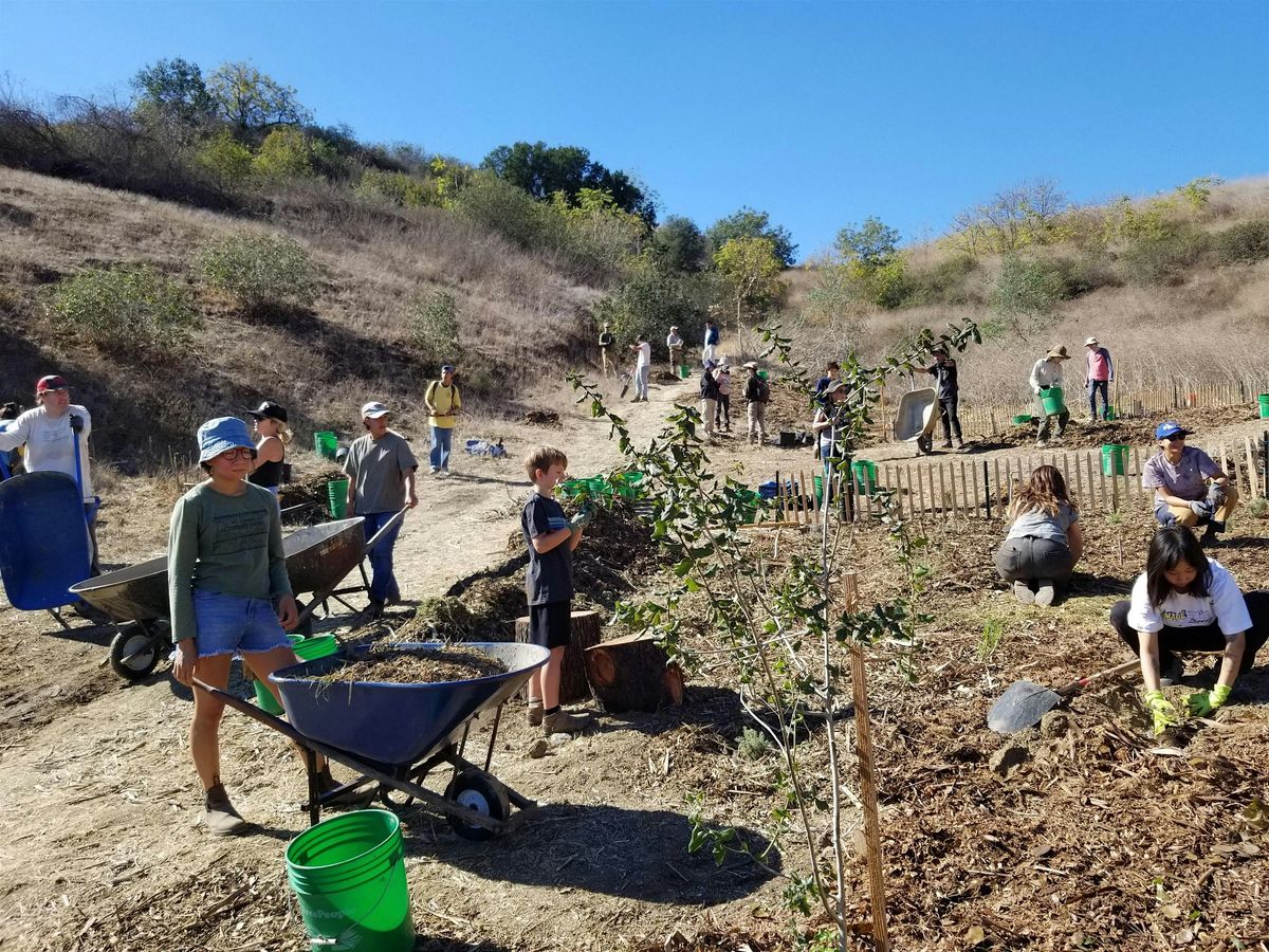 Elephant Hill Workday