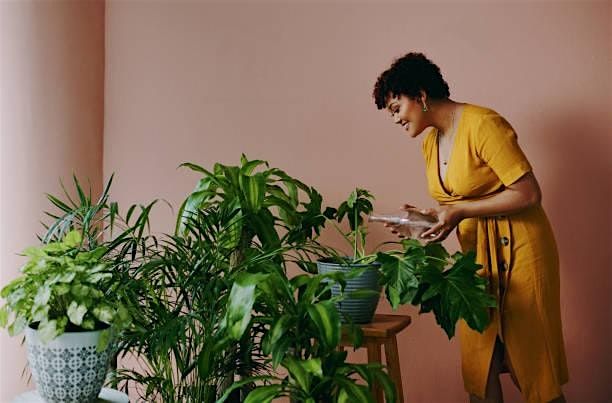 Houseplant 101 Workshop \u2728