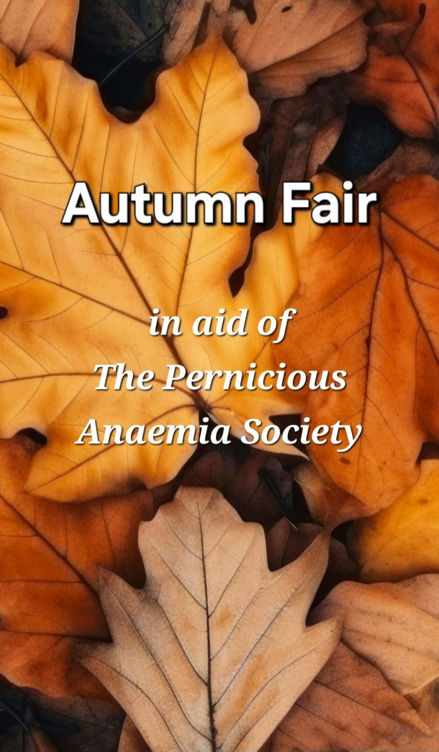 Autumn Fair