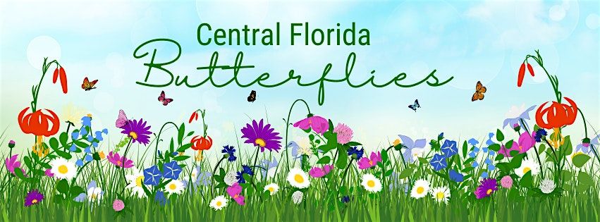 Butterflies in Central Florida - Thurs., March 27 - 2:00 pm