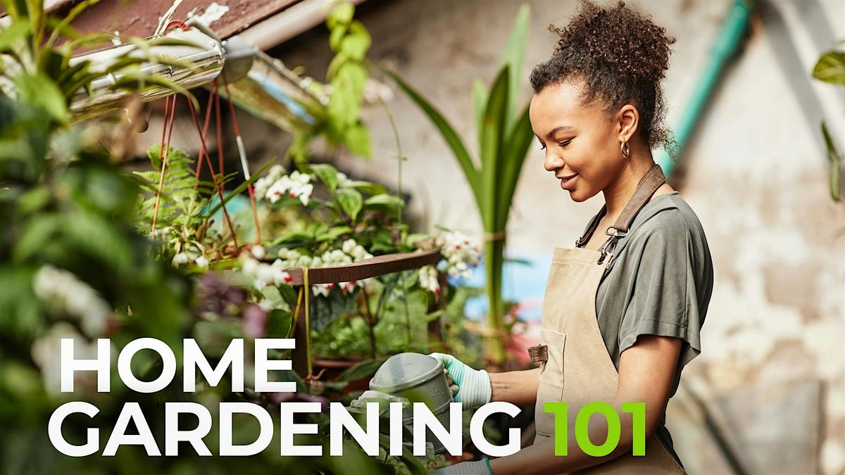 Home Gardening 101