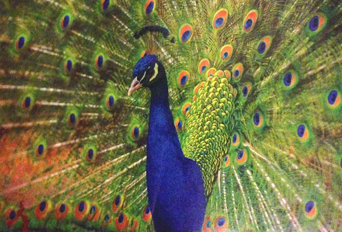 Picnic'n Paint in Central Park on September 7