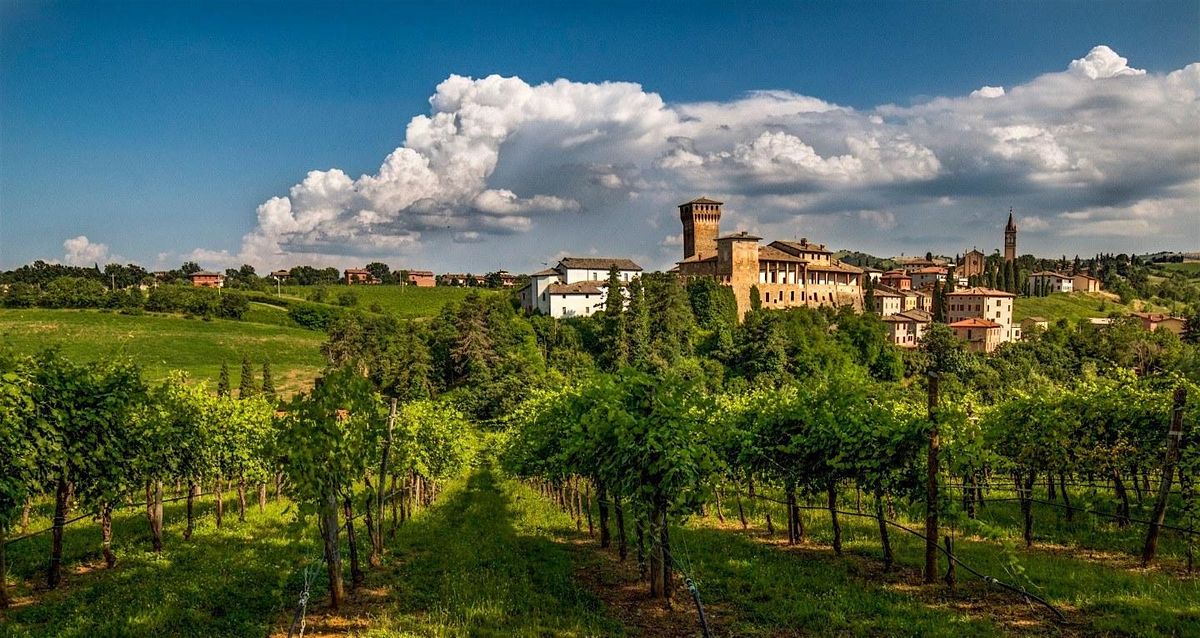 CANTINA MESSORI - An evening in Modena (\u00a311 Entry Fee)