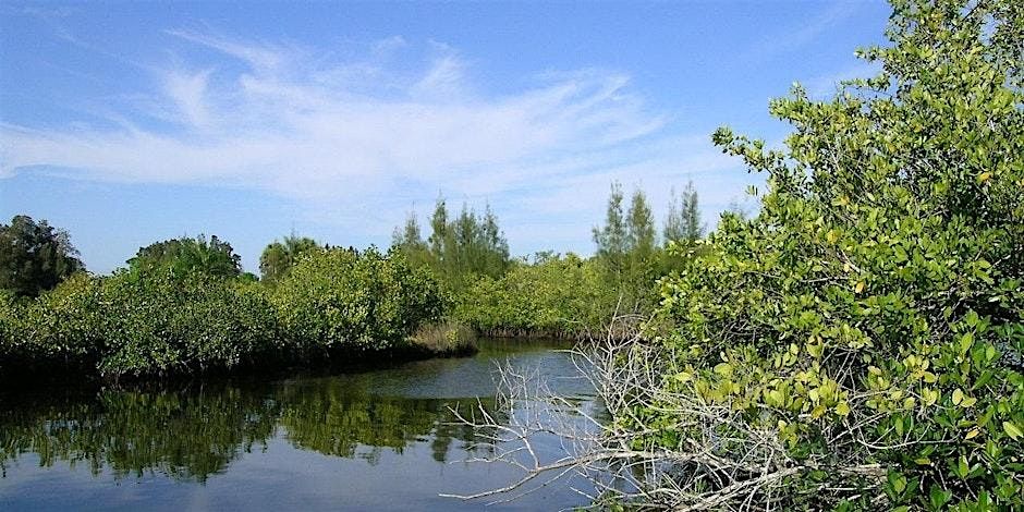 EcoWalk: Unique Preserves of Sarasota County: Curry Creek East