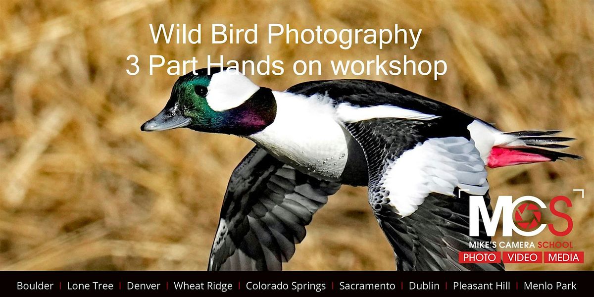 Wild Bird Photography at Kountze Lake - 3 Part workshop