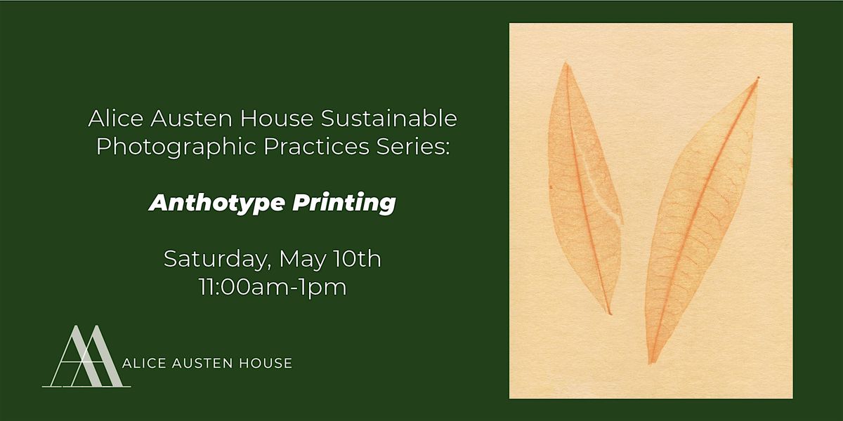 Anthotype Printing: Sustainable Photographic Practices Workshop