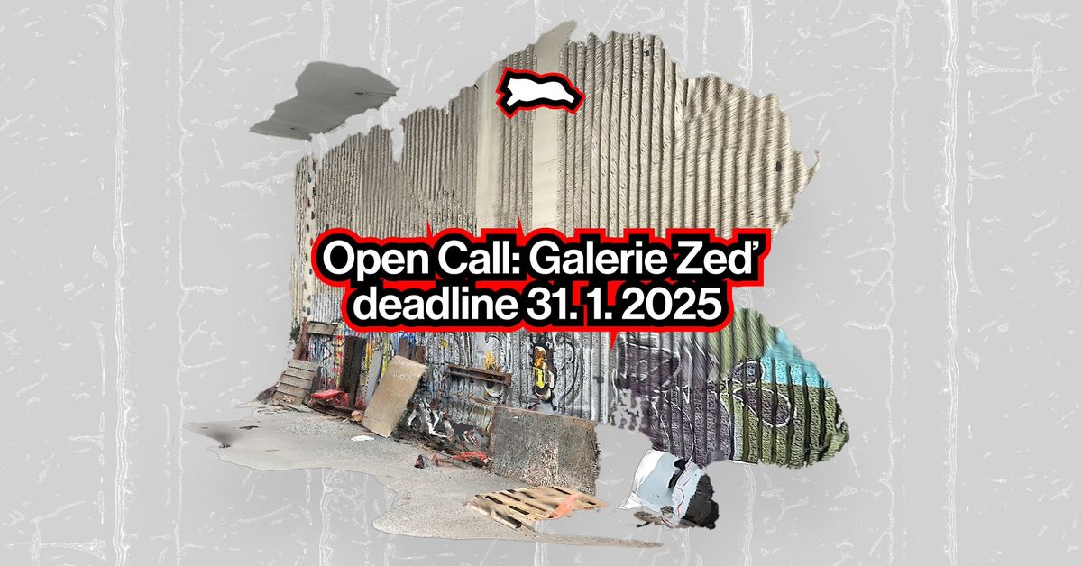 Open Call: Galerie Ze\u010f