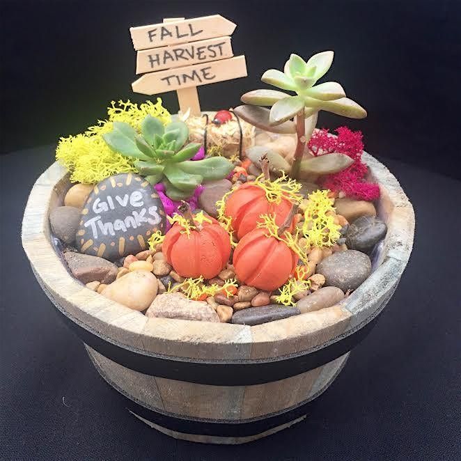 Family Plant Party: Make a Succulent Terrarium