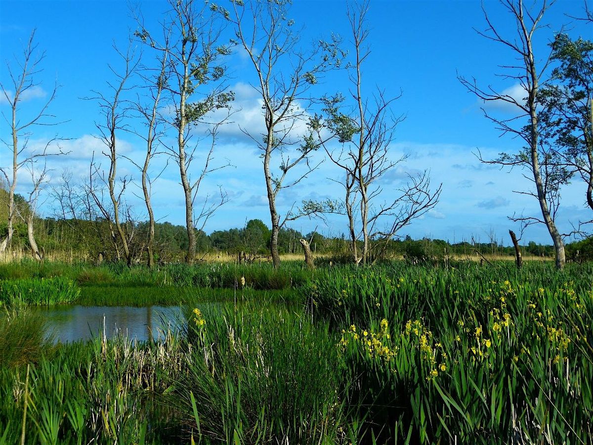 Local Volunteer Event: Update on Fishlake Meadows