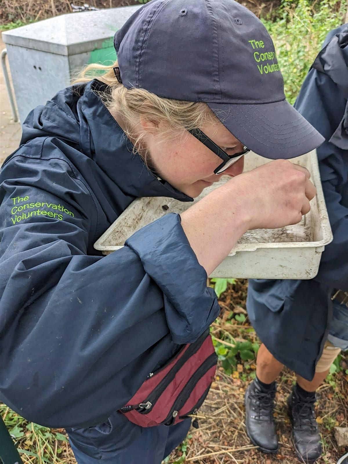 Slug Survey -  The Paddock