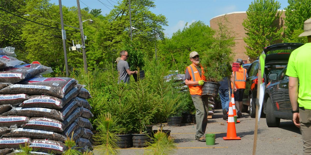 St. Louis Park Spring Tree Distribution