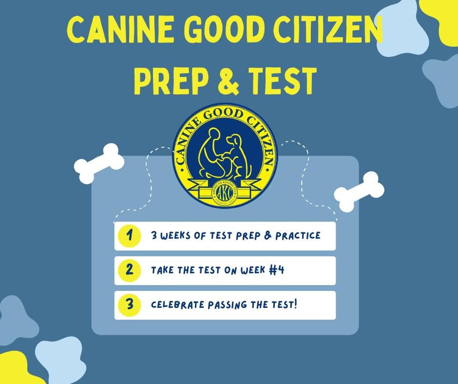 Canine Good Citizen (CGC) Prep & Test