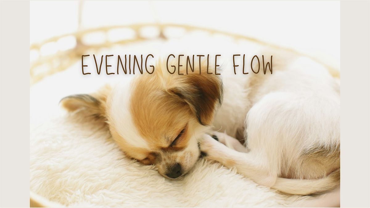 Evening Gentle Flow