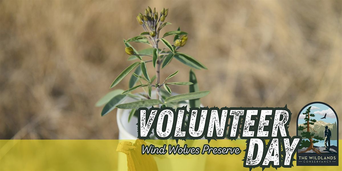 Volunteer Day: Backcountry Planting-  Wind Wolves Preserve