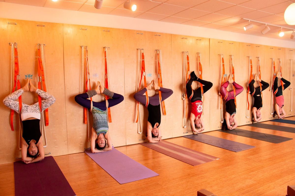 Yoga Wall Ropes & Slings Certification with Deanna Sidoti