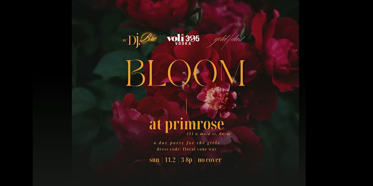 bloom @ primrose