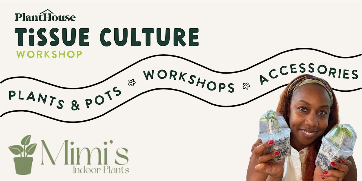 Tissue Culture Class with Mimi\u2019s Indoor Plants