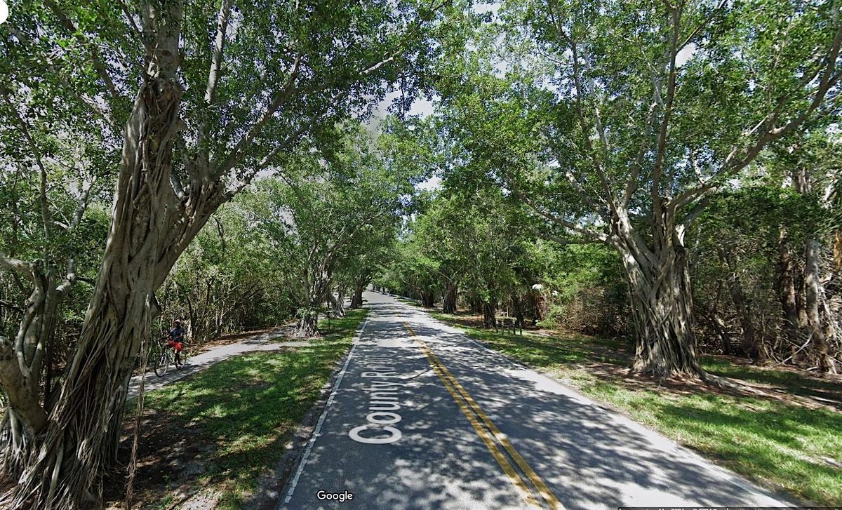 S. FL Arb. and Landscapes Webinar Series - 3\/20\/2025 (FL Urban Canopy)