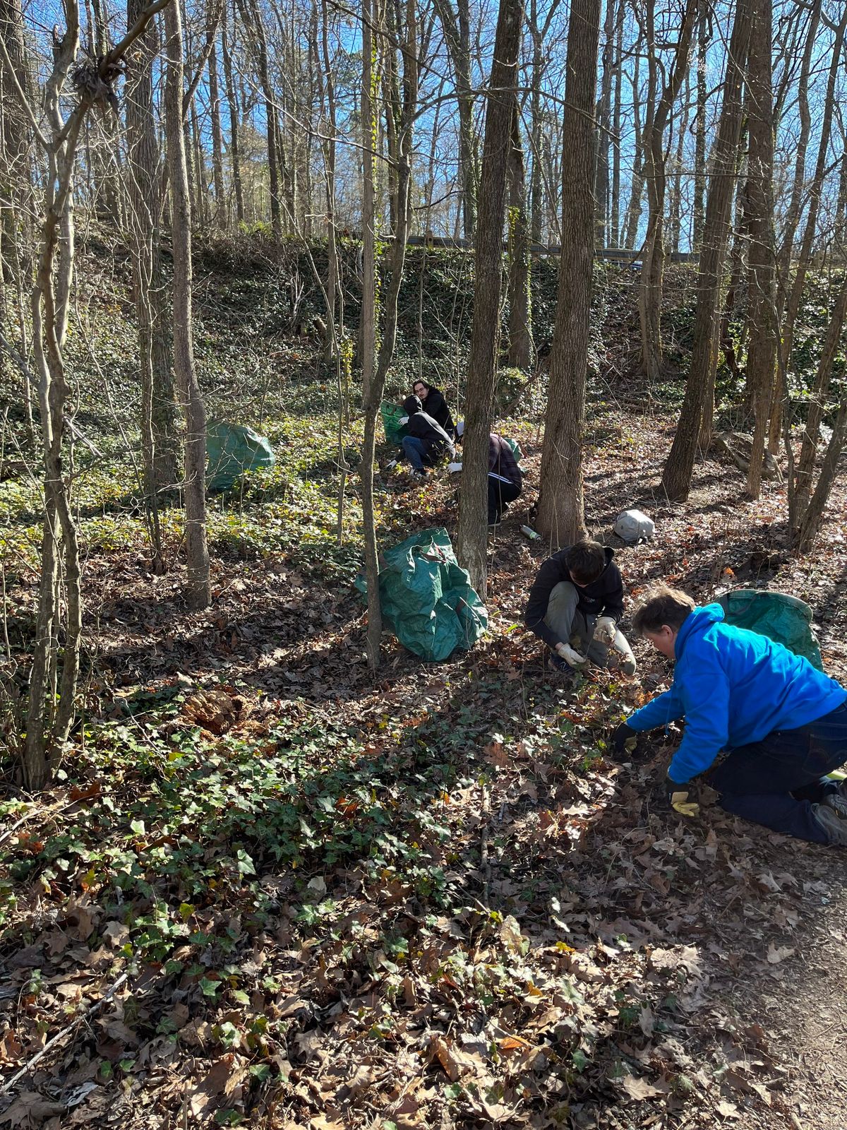 Wayside Springs Invasive Plant Removal