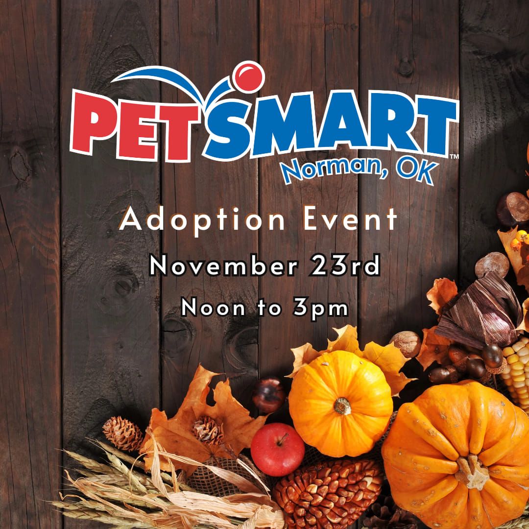 Adoptions at Norman Petsmart 