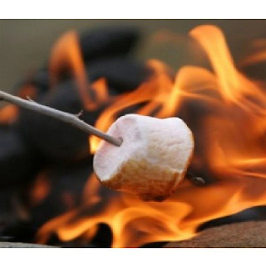 Willow Coppicing Family morning